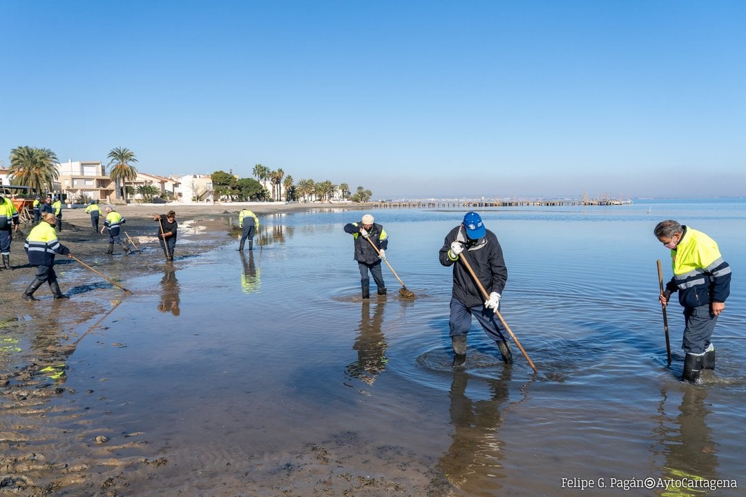 Vecinos limpiando el mar menor.