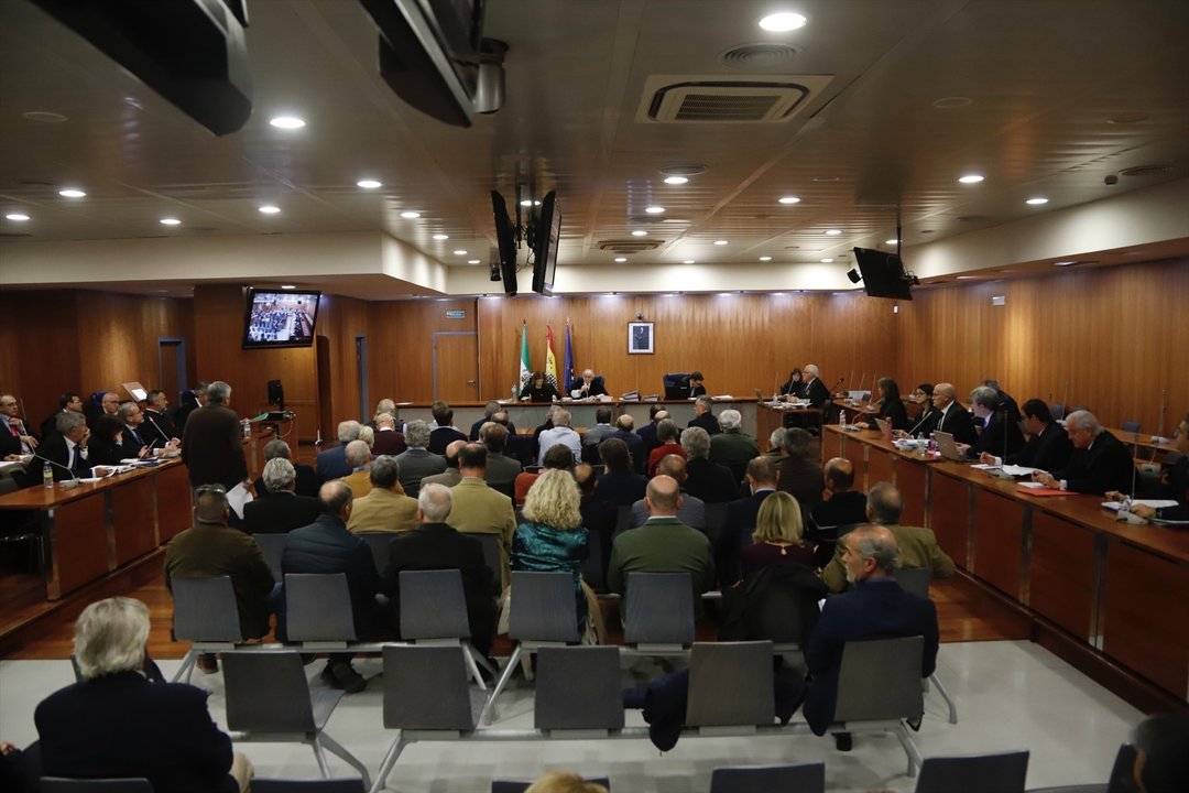Detalle de la sala durante el Juicio del caso 'Astapa' en los Juzgados de Málaga, a 9 de enero de 2023 en Málaga (Andalucía, España). El juicio del caso 'Astapa', se celebra en estos días en los Juzgados de Málaga sobre la presunta corrupción política y urbanística en Estepona.