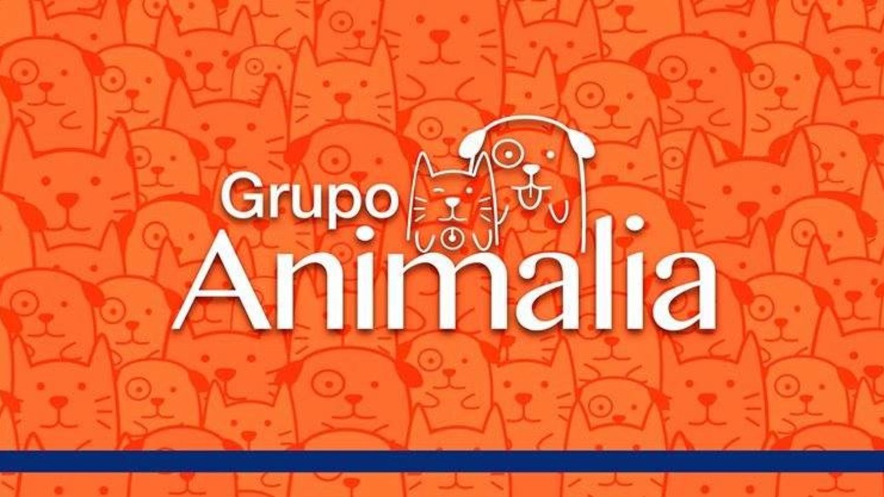 Grupo Animalia.