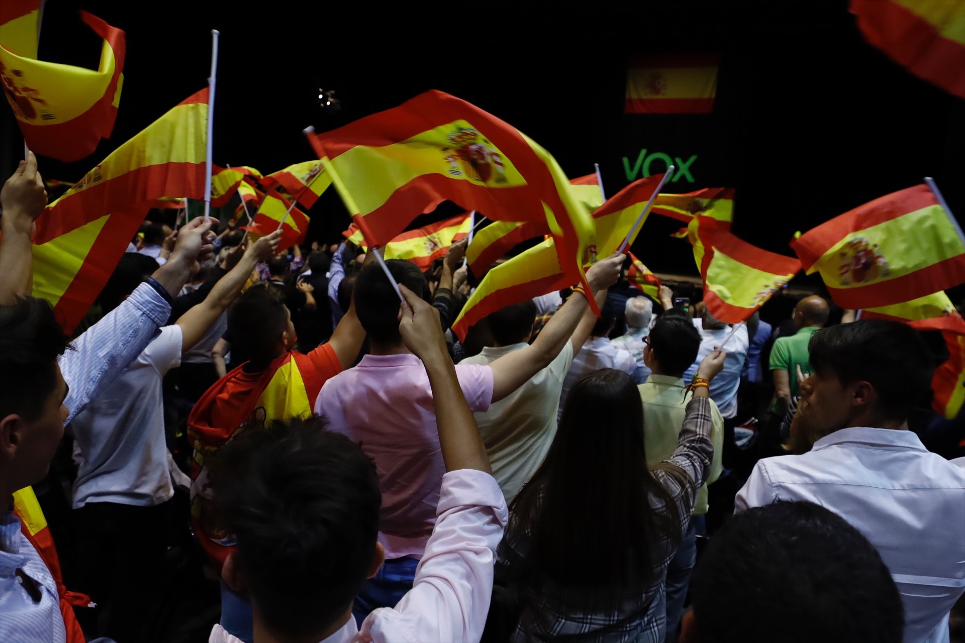 Una multitud ondea banderas españolas durante el acto de Vox en la Sala Multiusos del Auditorio de Zaragoza, en Zaragoza a 19 de octubre de 2019. (Foto: Fabián Simón/Europa Press)